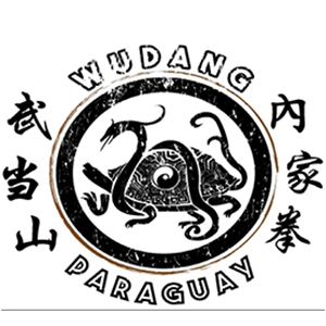 logo-wudan-paraguay